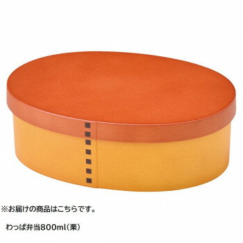 セトクラフト わっぱ弁当 800 栗 SK-0007【送料無料】