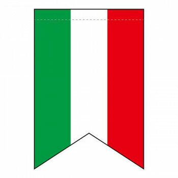 【エントリーで★全品ポイント5倍★】 N変形タペストリー 69411 イタリア国旗柄【送料無料】