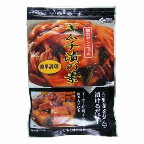 キムチ漬の素　100g×10個【送料無料】