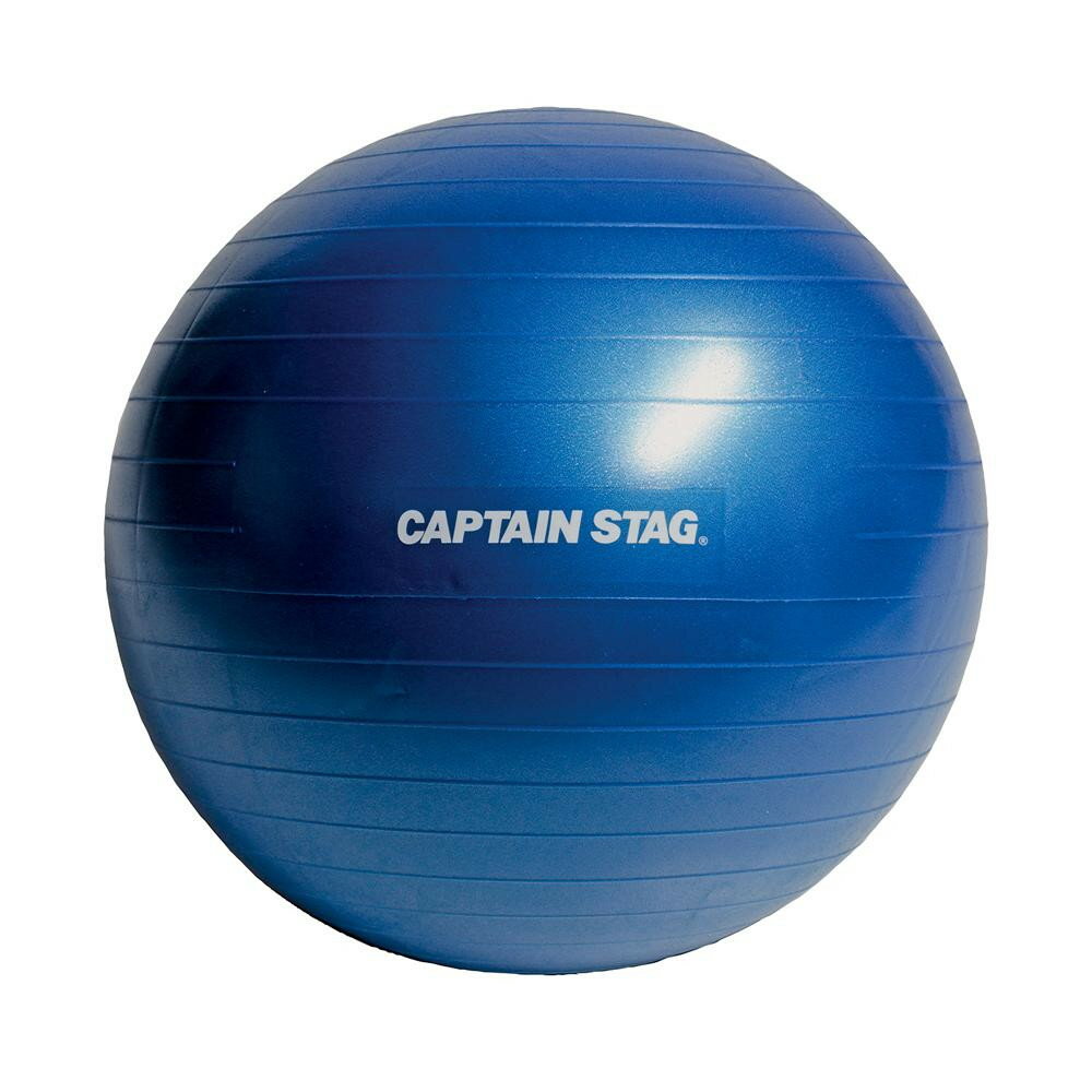 ＼今だけエントリーで全品ポイント5倍！／ CAPTAIN STAG キャプテンスタッグ Vit Fit フィットネスボール φ65 ブルー UR-0862【送料無料】