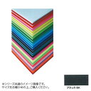 \今だけエントリーで全品ポイント5倍!/ ARTE(アルテ) ニューカラーボード デザインボード 5mm 3×6(900×1800mm) ブラック BP-5CB-3x6-BK【送料無料】