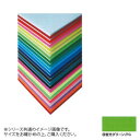 \今だけエントリーで全品ポイント5倍!/ ARTE(アルテ) ニューカラーボード デザインボード 5mm 3×6(900×1800mm) 蛍光グリーン 5CB-3x6-FG【送料無料】