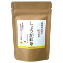 島根県産　しょうが紅茶　ティーバッグ(2g×8個入)×10セット【送料無料】