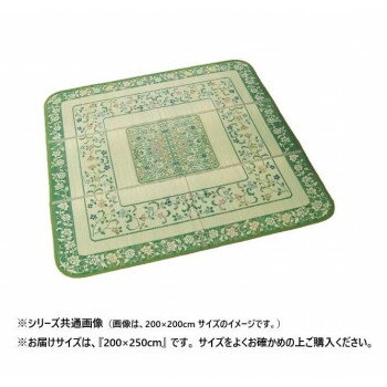 \今だけ全品ポイント5倍/ 国産い草ラグ(裏貼り) エンペラー 約200×250cm 81906801【送料無料】