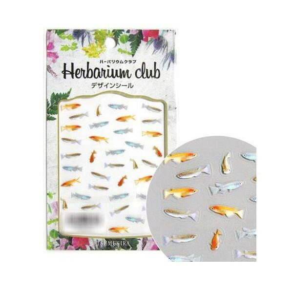 ハーバリウムクラブ　ハーバリウムシール　メダカ　(両面印刷)　HR-MDK-101【送料無料】 メール便対応商品
