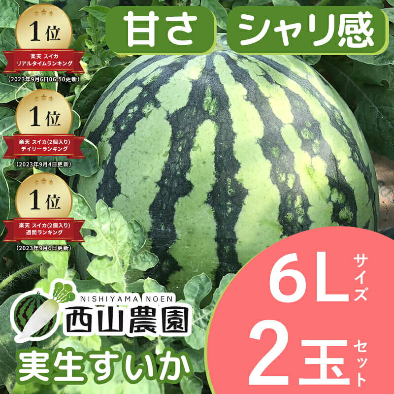 スイカ 大玉 8月 実生すいか 6Lサイズ 6〜7kg 2玉セット 超特大 2個 大玉スイカ suika 匠すいか 甘いすいか 西山農園 西瓜 とれたて しゃりしゃり フルーティー すいか
