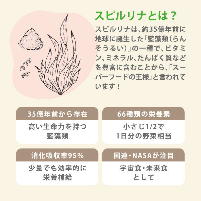 �� 100�� ���ԥ��� 30g ̵ź�� ̵���� ��� ��­ ʴ�� �ѥ����� �����­ ������� ����ѥ��� �ߥͥ�� �ӥ��ߥ� �򹯿��� �Ҥɤ� �Ҷ� �֤����� �������å� Ĳ�� ���ࡼ���� ��������� ���� �����ѡ��ա��� ���ԥ��ʥѥ����� ��ڥѥ����� �����襵�ݡ���