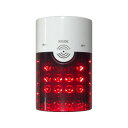 REVEX [ACアダプター付き] 警告・警報表示受信チャイム XPN4000 ・X0505B 単品 増設 屋外 防雨形 IP55 防犯 介護 LED フラッシュ ワイヤレスチャイム 電池 ACアダプタ 受信チャイム 簡単設置 配線不要 リーベックス ナカバヤシ XP4000 2