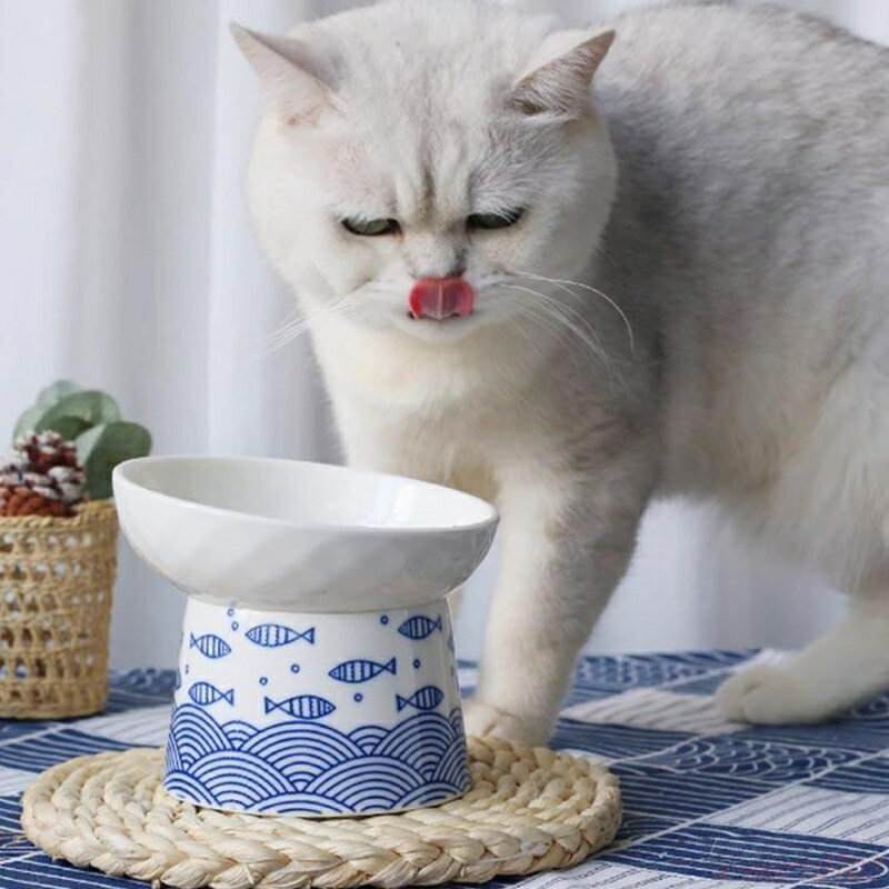 ���Ϥ� �ڥåȿ��� �� ǭ �ա��ɥܥ��� ƫ�� ���� ���٤䤹�� �⤵������ ���ӻ� �»� ������ ������� ����ߴ� �������� ǭ �Ф� �Ҥ�������