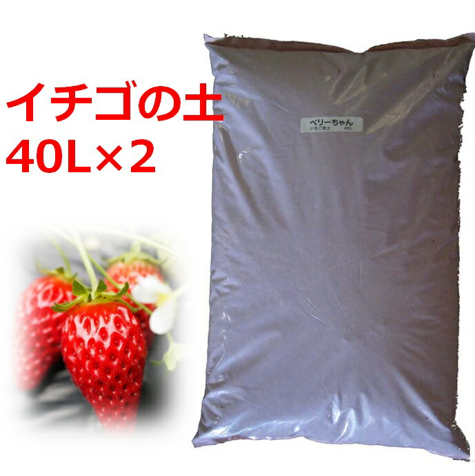  イチゴの苗づくり専用培養土 40L 2袋セット 土 いちご 苗 育苗 ポット