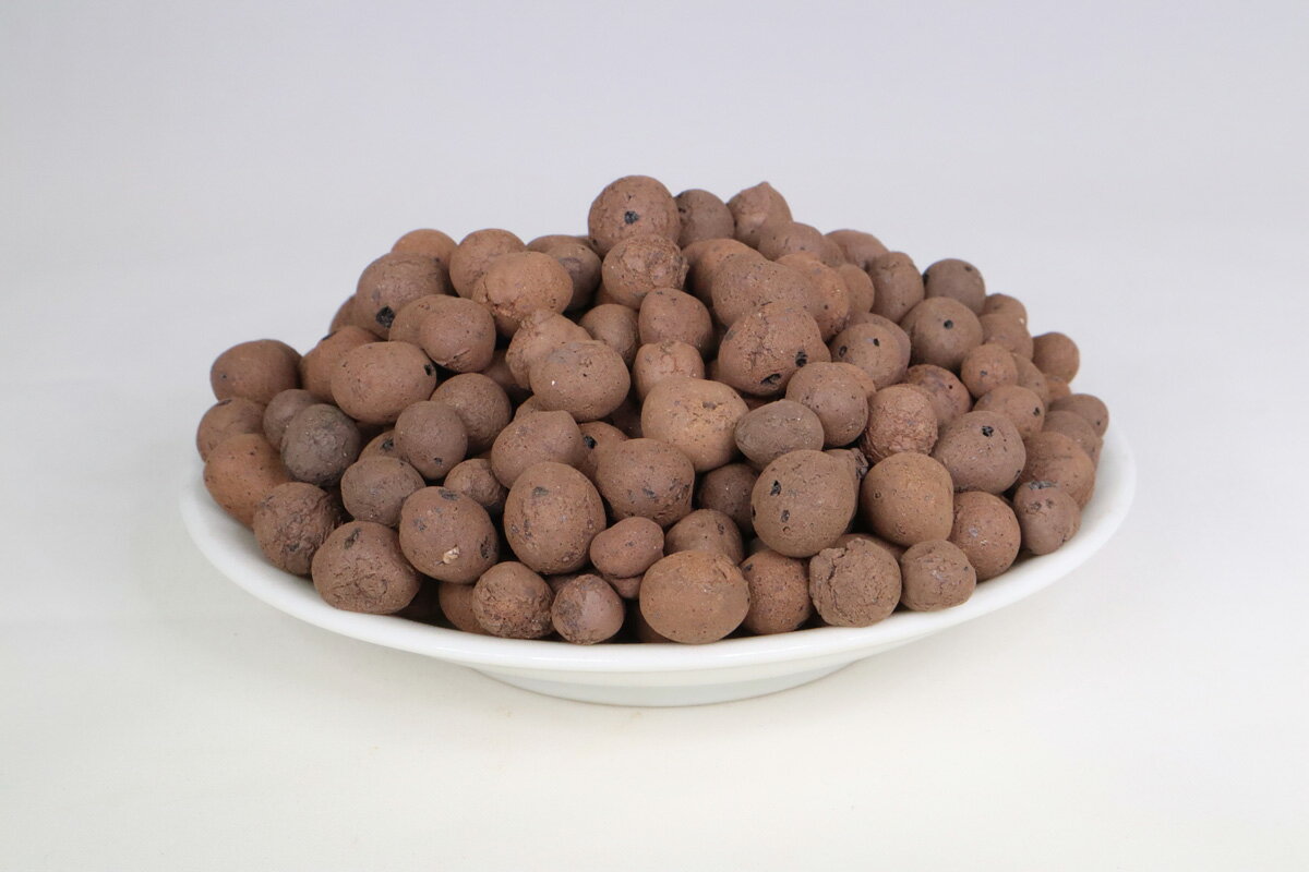 ハイドロボールの使い方 適した種類から植え方 植え替え方法まで解説 暮らし の