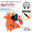 GYMNIC ギムニク イタリア製 バランスボール ロディーマックス Rody Max 【3歳以上対象】　(GY80-05)　のスペックサイズ幅 66cm×高さ 66cm素材ノンフタル酸 塩化ビニール機能耐荷重 200kgカラーオレンジメーカー希望小売価格はメーカーカタログに基づいて掲載しています。GYMNIC ギムニク イタリア製 バランスボール ロディーマックス Rody Max 【3歳以上対象】　(GY80-05)ケンさんコメントこちらの商品は取り寄せ商品となります。ご注文を頂いてからメーカーに発注をし、発送までに平日2日〜3日程いただきます。メーカーの注文が重なったりした場合、カゴに入れられても欠品になってご用意できないことがございます。その際は当店からの受注メールにて納期などの詳細はご連絡いたしますので、よろしくお願いいたします。（自動返信メールでは、お客様のご注文内容のみを確認しております）