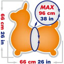 ギムニク バランスボール ロディーマックス Rody Max【3歳以上対象】 (GY80-05) 子供 キッズ リトミック エクササイズ ヨガ ボール ピラティス 【 送料無料 】 3