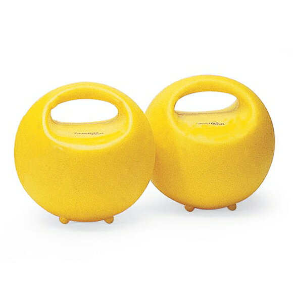 ギムニク バランスボール トレーニングボール (GY80-99) エクササイズ ヨガ ボール ピラティス