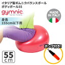 ギムニク バランスボール ボディーボール55 55cm Body Ball 55 BRQ (GY90-55) エクササイズ ヨガ ボール ピラティス 1