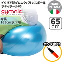 ギムニク バランスボール ボディーボール65 65cm Body Ball 65 BRQ (GY90-65) エクササイズ ヨガ ボール ピラティス