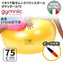 ギムニク バランスボール ボディーボール75 75cm Body Ball 75 BRQ (GY90-75) エクササイズ ヨガ ボール ピラティス