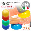 ギムニク バランス ボール ソフトギムニク ボール ソフトジム 【運動例パンフレット付属】 95.09 送料無料 ストレッチ エクササイズ ボール ピラティス クリックポスト出荷