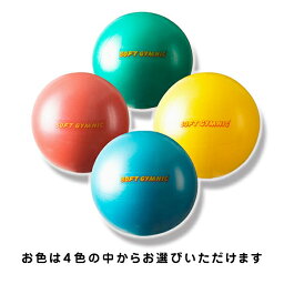 ギムニク バランスボール ニュー ソフトギムニク ソフトジム ( 表面がツルツルタイプ ) New Softgymnic エクササイズ ヨガ ボール ピラティス