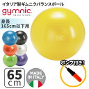 バランスボール ギムニク バランスボール ギムニクプラス65 フィットボール 65cm ブルー イエロー グリーン パール ブラック (GY95-29) エクササイズ ヨガ ボール ピラティス