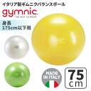 ギムニク バランスボール ギムニクプラス75 フィットボール 75cm イエロー パール (GY95-30) エクササイズ ヨガ ボール ピラティス