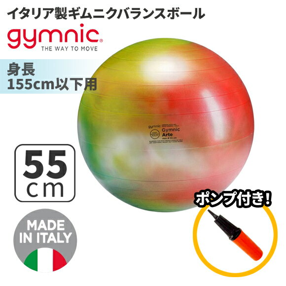 ギムニク バランスボール ギムニク アルテ55 55cm Gymnic Arte 55 BRQ (GY95-35) エクササイズ ヨガ ボール ピラティス