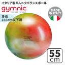 バランスボール ギムニク バランスボール ギムニク アルテ55 55cm Gymnic Arte 55 BRQ (GY95-35) エクササイズ ヨガ ボール ピラティス