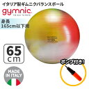 ギムニク バランスボール ギムニク アルテ65 65cm Gymnic Arte 65 BRQ (GY95-36) エクササイズ ヨガ ボール ピラティス