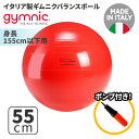 ギムニク バランスボール ギムニクボール55 55cm レッド (GY95-55) エクササイズ ヨガ ボール ピラティス