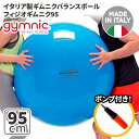 ギムニク バランスボール ギムニクボール95 フィジオギムニク 95cm ブルー (GY95-95) エクササイズ ヨガ ボール ピラティス 【 送料無料 】