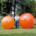 ギムニク バランスボール ギムニクボール120 フィジオギムニク 120cm オレンジ (GY95-98) エクササイズ ヨガ ボール ピラティス 【 送料無料 】