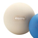 GYMNIC ギムニク イタリア製 バランスボール Myo Fascial 15 82.16 *次回9月末入荷予定 (GY82-06)