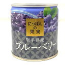 【 ★4/25★ 2人に1人が当選 エントリーで最大100％ポイントバック 】185g入 国産 岩手県産 ブルーベリー にっぽんの果実 果物 くだもの フルーツ 缶詰 ギフト 非常食 ソロ キャンプ ngm-575 