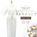 オーガニックコットン きものスリップ Mサイズ Lサイズ 和装下着 ユナイト 綿 オールシーズン 白 肌襦袢 裾除け 一体型