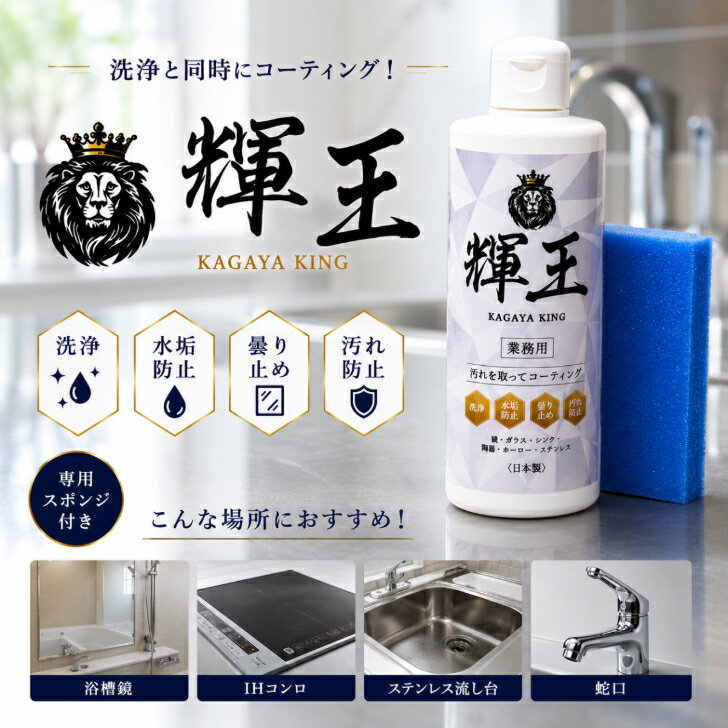 【輝王 専用スポンジ付き】300g 業務用 洗浄コーティング剤 汚れを取ってコーティング 洗浄 水垢防止 曇り止め 汚れ防止 鏡 ガラス シンク 陶器 ホーロー ステンレス 浴槽 トイレ キッチン 洗面台 宮崎化学 日本製