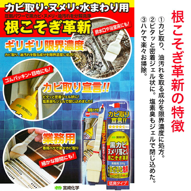 根こそぎ革新 3個 カビ取り宣言 カビ取り ヌメリ 水まわり用 低臭タイプ 濃縮ジェル 高濃度ジェル 業務用洗剤 宮崎化学 正規代理店 日本製