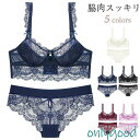 ブラジャー ショーツセット 下着女性 上下セット 下着 レディース 脇肉スッキリ 脇肉補正 脇高ブラ 一部シースルー 盛り 谷間 刺繍