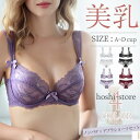 下着女性 シースルーブラジャー ブラジャーショーツセット インナー 超薄型 レース