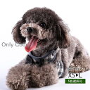 犬 ハーネス おしゃれ かわいい 胴輪 小型犬 中型犬 脱げない 簡単装着 リード セット 服 夏 メッシュ ハーネス 犬用 イヌ 首輪 リード 服