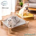 ペットベッド 犬用 猫用 組み立て キャンバス 簡単 脚付き コット型 高床 寝床 寝具 お昼寝 通気性 洗濯可 オールシーズン かわいい 緑 イ(4)