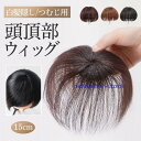 頭頂部ウィッグ レディース ショート 自然 ヘアピース 薄毛 白髪隠し かつら カツラ ストレート 黒髪 普段使い 女性用 15cm つむじ 可愛い