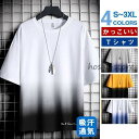 Tシャツ メンズ 半袖 夏服 プルオーバー トップス ゆったり 配色切り替え 夏サマー シンプル お兄系 薄手 アウトドア おしゃれ 通学 20代