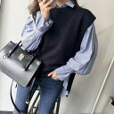 ニットベスト レディース 40代 春秋冬 ベストセーター 無地 Vネックニットベスト長袖ブラウス オシャレ組み合わせ 韓国風 通勤 着痩せプルオーバーベスト(4)