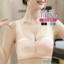 冷感タイプ登場 ブラジャー ノンワイヤー ナイトブラ 育乳 バストアップ ブラジャー 大きいサイズ 速乾 伸縮 耐久 レディース ノンワイヤー脇肉