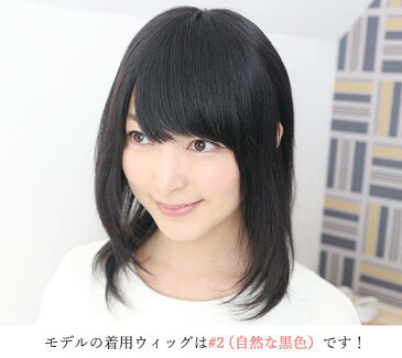 医療用ウィッグ 人毛 フルウィッグ ウィッグ ã¤ã‚€ã˜ 人毛ウィッグ セミãƒãƒ³ã‚° ミディアム『清楚系セミディ−〠ストレート シルクã¤ã‚€ã˜ å¤ç”¨ 黒髪 女性 ã‹ã¤ã‚‰ 抗ãŒã‚“剤 円形脱毛症 è–„æ¯›éš ã— ãƒ¬ãƒ‡ã‚£ãƒ¼ã‚¹ 女性用ã‹ã¤ã‚‰ (シルク幅広皮膚)