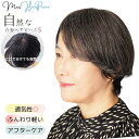 部分ウィッグ 白髪 ウィッグ 人毛 ヘアピース 頭頂部 グレーヘア グレイヘア つむじ 母の日 ミセスウィッグ 白髪ウィッグ 部分かつら 女性用 抗がん剤 総手...