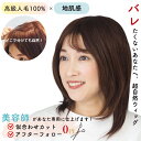 人毛100% フルウィッグ 医療用ウィッグ ウィッグ 人毛 医療用 抗がん剤 円形脱毛症 自然 つむじ 女性用 レディース 総手植え 地肌付き 夏用 蒸れない ...