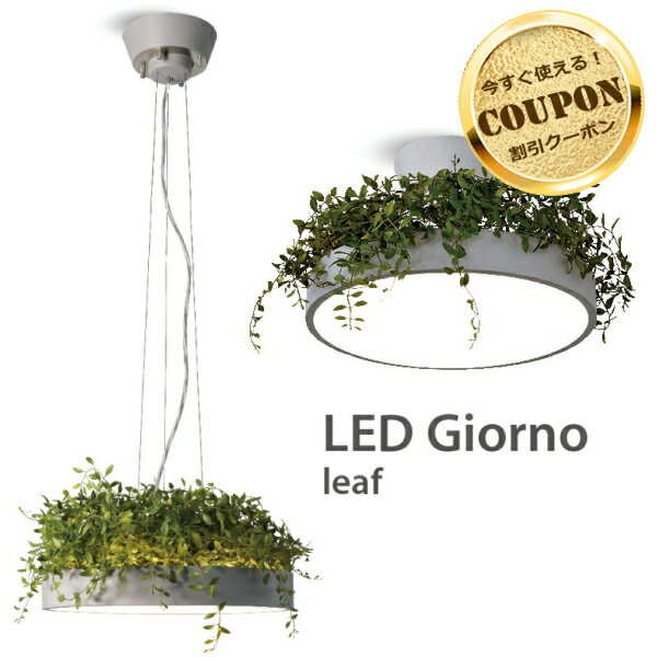 LED ジョルノリーフ シーリング ペンダントランプ LED Giorno ceiling pendant lamp ディクラッセ　DI CLASSE