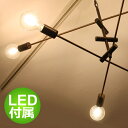 LEDカーディナル ブラック ペンダントランプ LED Cardinal black pendant lamp ディクラッセ DI CLASSE【RP16】【1...