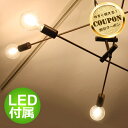 【クーポン利用で最大4,500円OFF】LEDカーディナル ブラック ペンダントランプ LED Cardinal black pendant lamp ディクラ...
